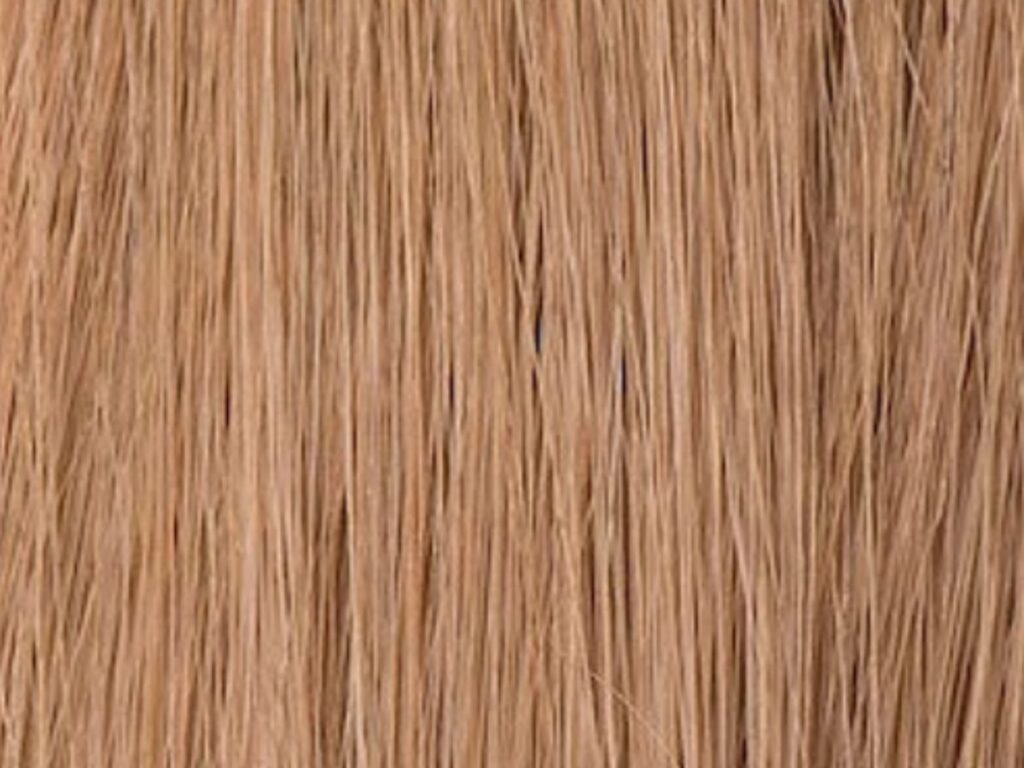 Wig 67